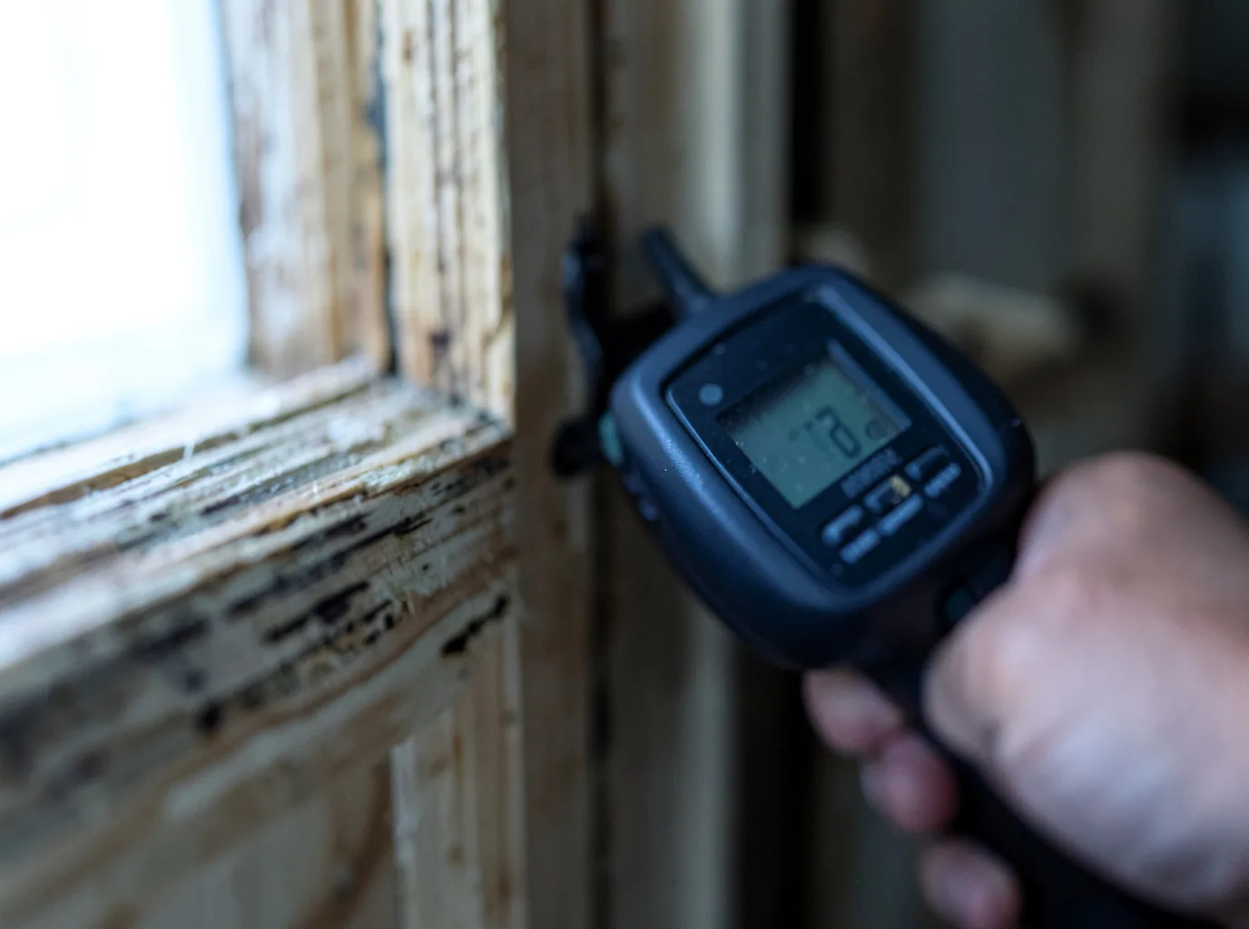 Water Damage Restoration Douglassville, TX FAQs